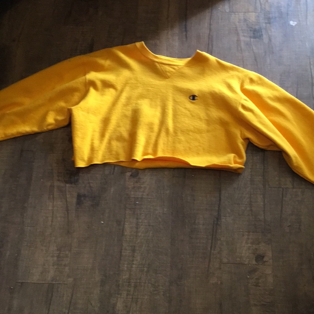 Champion cropped sweatshirt